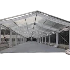 TENDA RODER TRANSPARANT